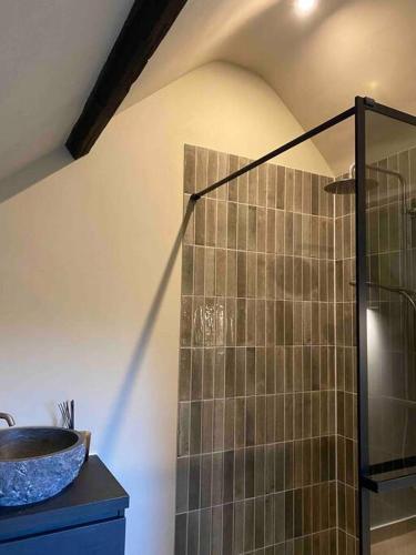a bathroom with a shower and a sink at Gastenverblijf Studio 22 - woonboerderij in Haaren