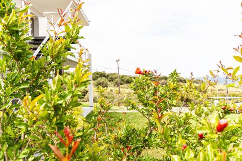 a garden with flowers and plants in front of a house at Boutique apartments Myesis in Samothráki
