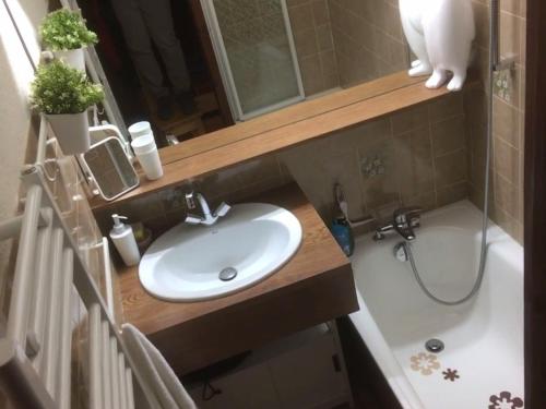Appartement Châtel 4 pers, balcon, parking, animaux admis