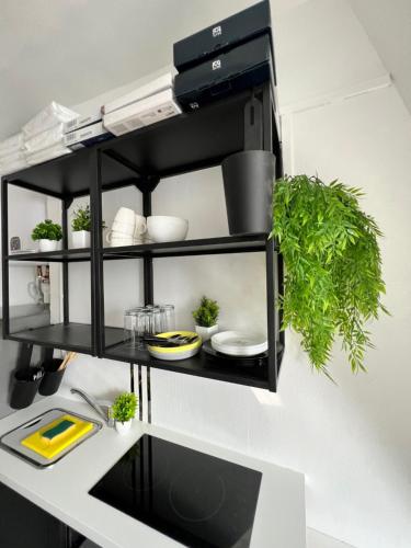 a black shelf above a kitchen counter with plants at PARIS BASTILLE BERCY GARE DE LYON CHAMBRE CLIMATISEE 9m2 idéal 1 pers ,max 2 pers in Paris