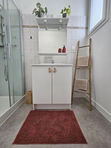 une salle de bain avec une douche et une armoire blanche et un tapis rouge dans l'établissement Logement 68 m2 confortable et cosy - Corrèze, à Saint-Privat