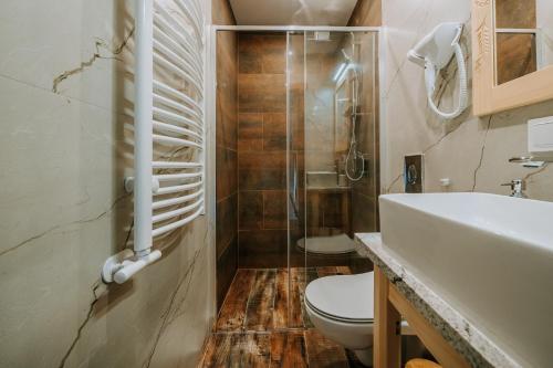 a bathroom with a toilet and a sink at "Podhalański Gościniec" -250 m Gorący Potok ,Termy Szaflary in Szaflary