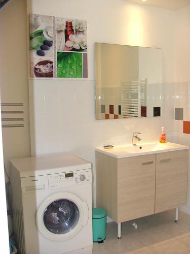une salle de bain avec une machine à laver et un lavabo dans l'établissement Saint Pierre House, à Saint-Pierre-Langers