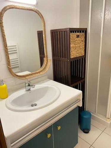 une salle de bain avec un lavabo et un miroir dans l'établissement T2 4p centre historique-parking, à Rennes