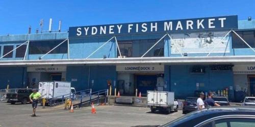 a man is standing in front of a fish market at Oasis Fish Market 4BR House&DarlingHarbour& ICC-8 mins in Sydney