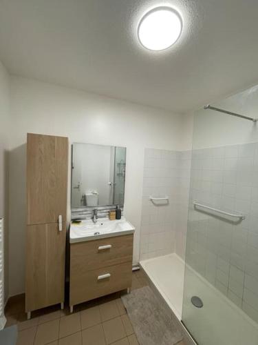 une salle de bain avec un lavabo, une douche et un miroir dans l'établissement Lumineux T2 - Ajaccio proche mer, à Ajaccio