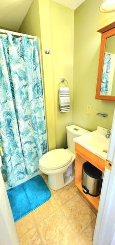 a bathroom with a toilet and a shower curtain at Cottage lake view with Deck and BBQ Grill in Three Mile Bay