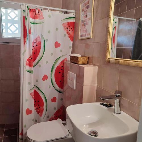 a bathroom with a toilet and a shower curtain at Maroudas Stavros Apartments in Vathi, Ithaka