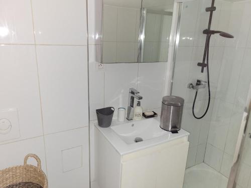 une salle de bain blanche avec un lavabo et une douche dans l'établissement Joli rez de jardin, à La Seyne-sur-Mer