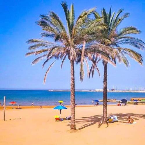 two palm trees on a beach with the ocean at Luciano e Concetta in Ragusa