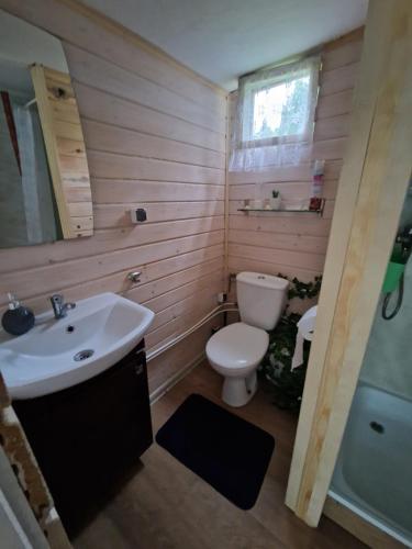a small bathroom with a toilet and a sink at Leśny Zakątek - Domek Morze in Ustka