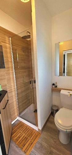 une salle de bain avec douche et toilettes dans l'établissement La CAMPA CAZALINE, à La Teste-de-Buch