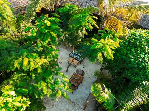 an overhead view of a garden with a chair and trees at The Garten Living in Paje
