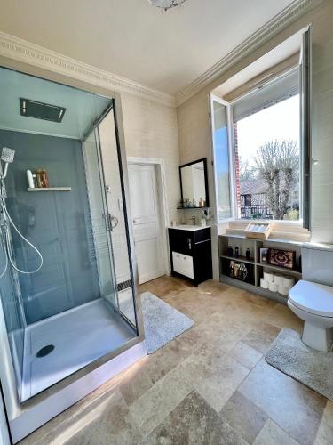une salle de bain avec une douche, des toilettes et un lavabo dans l'établissement maison cosy et chic, à Plancy