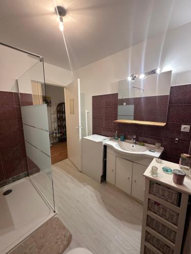 une salle de bain avec douche et lavabo dans l'établissement Grand T1 climatisé, jardin avec parking en ville, à Ajaccio