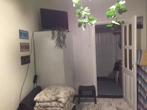 Μια τηλεόραση ή/και κέντρο ψυχαγωγίας στο Studija virš cukrainės Druskininkuose