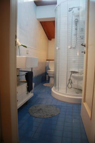 y baño con ducha, lavabo y aseo. en Pietra E Glicine B&B, en Pieve a Nievole