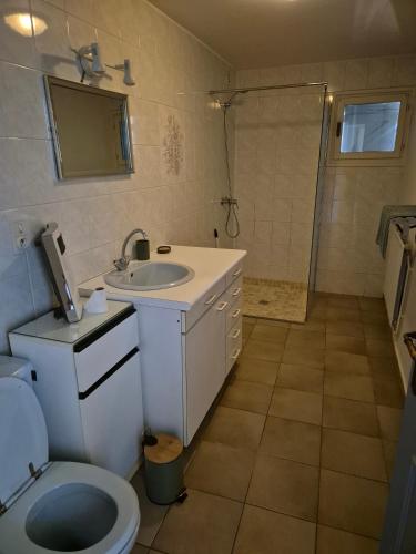 une salle de bain avec toilettes, lavabo et douche dans l'établissement Gîte entre Rieu et Fournache, à Mirabel-aux-Baronnies