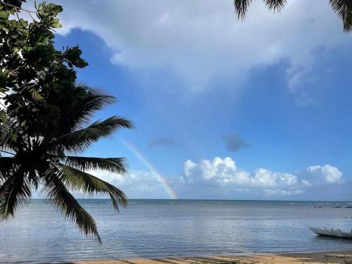 a rainbow over the ocean with a palm tree and a beach at La Spiaggia, tropical villa with private beach in Sainte Marie
