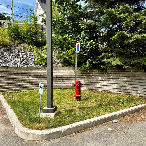 a red fire hydrant in the grass next to a pole at INITIAL - HORIZON - Chutes-Montmorency in Boischâtel