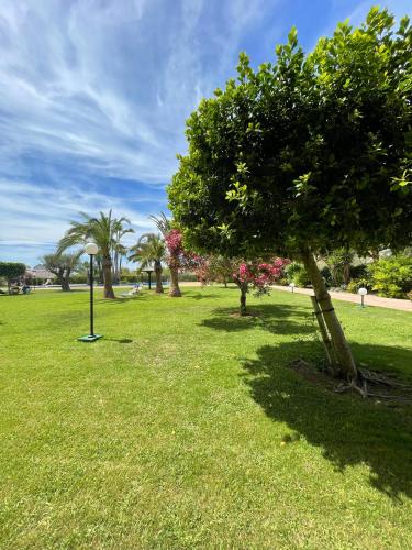 Κήπος έξω από το Ático duplex Lagos del Castillo