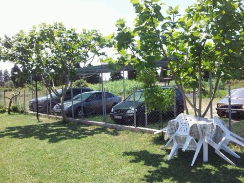 two white chairs sitting in the grass next to a fence at Apartments Sija in Ulcinj