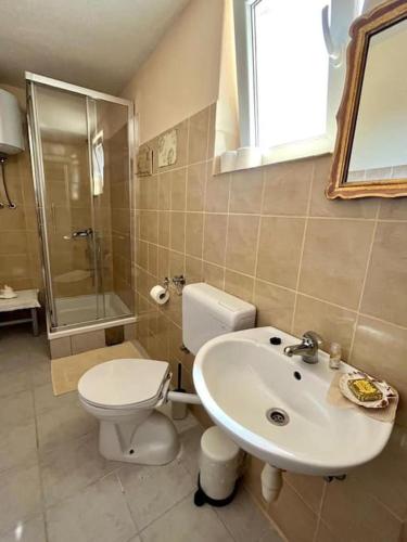 a bathroom with a toilet and a sink at Vila Klara room - garden view in Olib