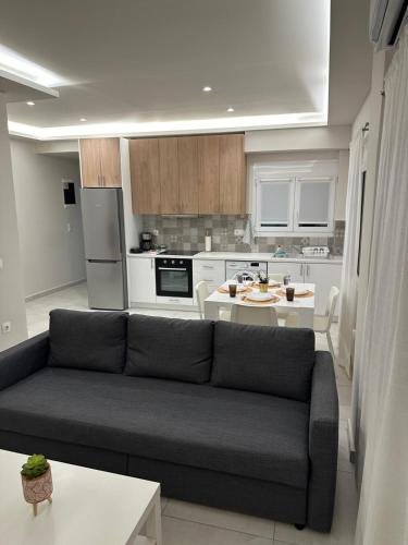 A&A Spacious Apartment