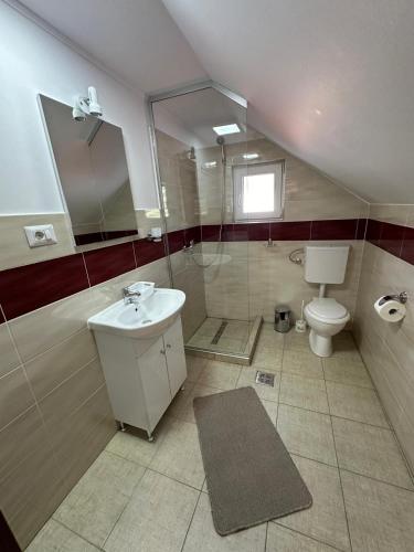a bathroom with a toilet and a shower and a sink at Casa Coman Moisei in Moisei
