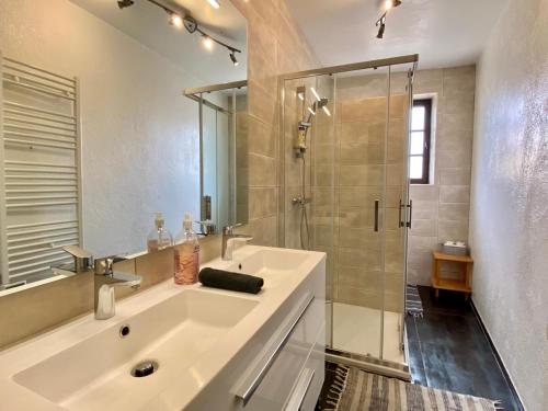 une salle de bain avec un lavabo et une douche dans l'établissement Appartement Cité de Carcassonne, à Carcassonne
