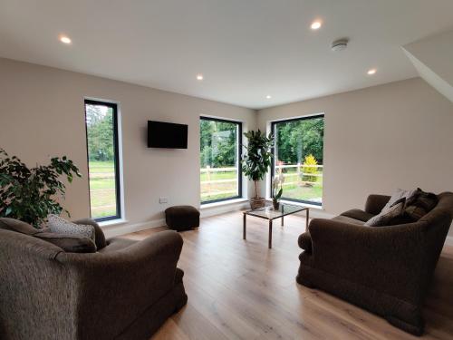 a living room with two couches and a tv at Moynure House Boutique B&B & Separate Two bedroom Chalet in Athlone