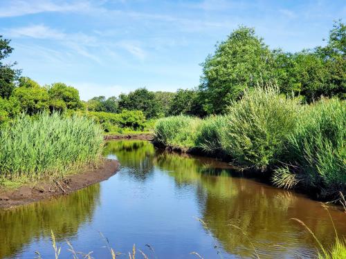 a river with grass and trees in a field at Luxury Bali Villa in Hossegor 5 stars- Pool & Petanque in Hossegor