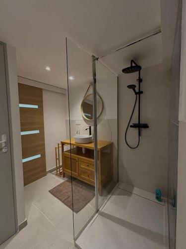 une salle de bain avec une douche, un lavabo et un miroir dans l'établissement L'Esmeralda - Maisonnette de vacances, à Villeneuve-Loubet