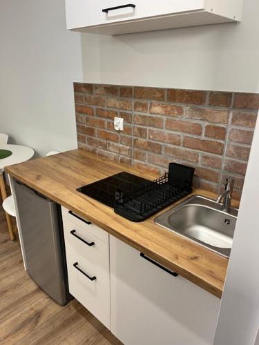 a kitchen with a sink and a brick wall at Dwunastka in Zakopane