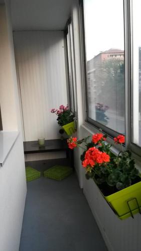 un rebord de fenêtre avec des fleurs et des plantes sur un balcon dans l'établissement Bel appartement T2 bis à deux pas de l'hypercentre, à Toulouse