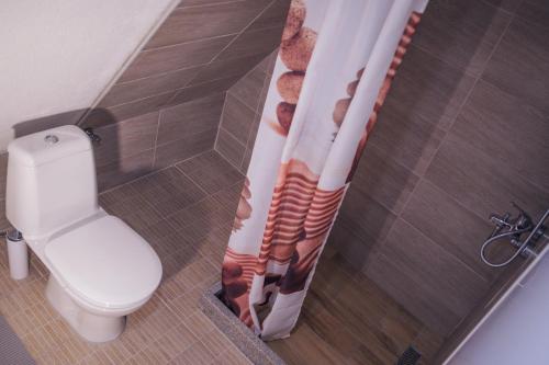 a bathroom with a toilet and a shower curtain at Vikendica DORMINO in Bihać