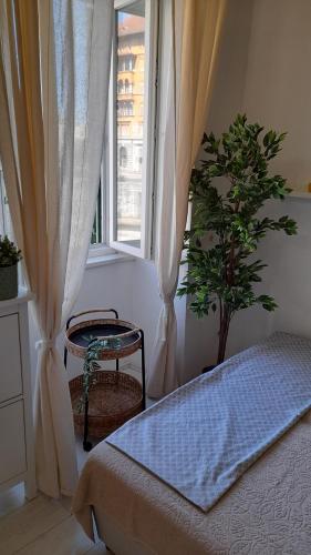 Apartman Vida