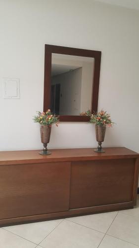 a mirror on top of a counter with two plants at Hotel Pouso Novo in Matão
