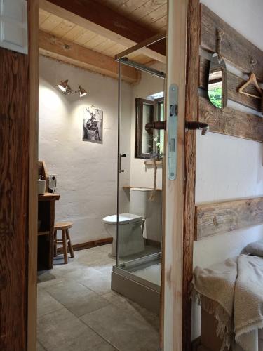 a bathroom with a glass shower and a toilet at Domek Przyjacielówka Ekstra -Miejsce Ciszy in Sienna