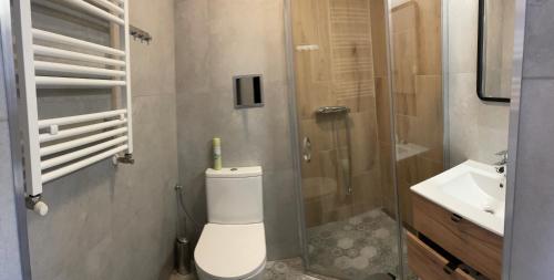a bathroom with a toilet and a shower and a sink at Przystanek Karpacz - ul Słowackiego 5A in Karpacz