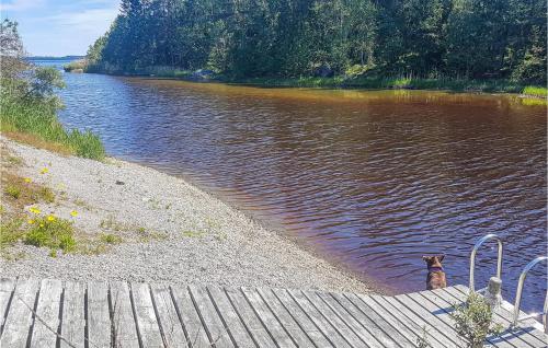 a dog sitting next to a body of water at Nice Home In Ljusne With Wifi in Ljusne