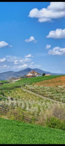 Φυσικό τοπίο κοντά σε αυτή η εξοχική κατοικία
