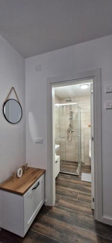 a bathroom with a shower and a sink and a mirror at Zira2 in Kotor