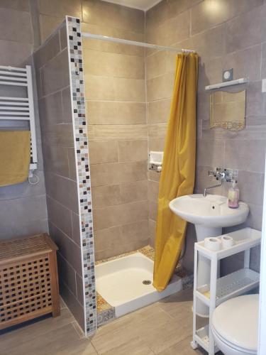 a bathroom with a shower and a sink at La Renaissance 50m2 - Indépendant & terrasse in Saint-Ambroix