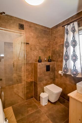 a bathroom with a toilet and a shower at Domek u Jarosza in Maruszyna