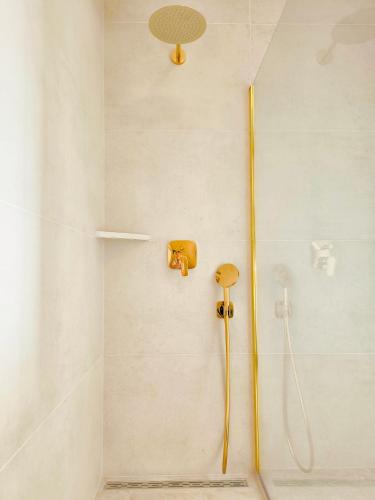 a shower with a shower head in a bathroom at Studio Percan in Premantura