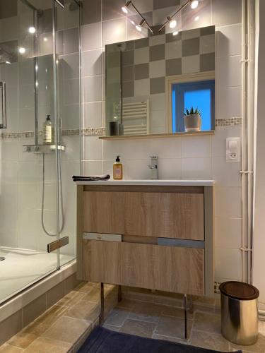 une salle de bain avec un lavabo et une douche dans l'établissement Appartement - Bonlieu - Annecy vieille ville, à Annecy