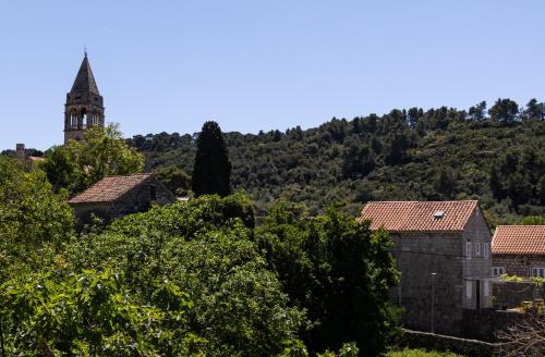a building with a tower and a church and trees at Stephanie green island apartments in Šipanska Luka