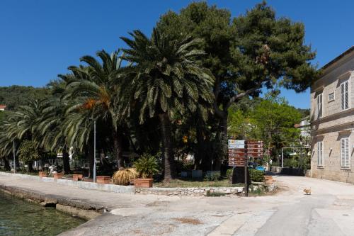 a group of palm trees next to a building at Stephanie green island apartments in Šipanska Luka