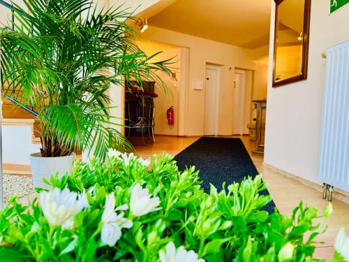 Cozy Garden Apartman 5700 Gyula, 17 Görbe utca kép - 3